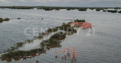 Imagen 18 de 30 de Proyecto De Lotes Residenciales En Telchac Puerto, Yucatán