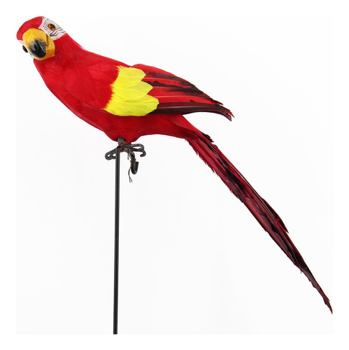 Pájaro Loro Modelo Simulación Loro Pluma Loro Guacamayo