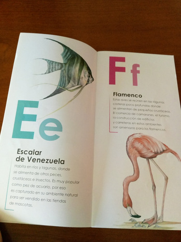 Cartilla Del Abc De Las Especies Amenazadas (Usado)