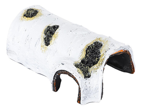 Muelle Para Reptiles Para, Rampa Para Escalar Estilo C