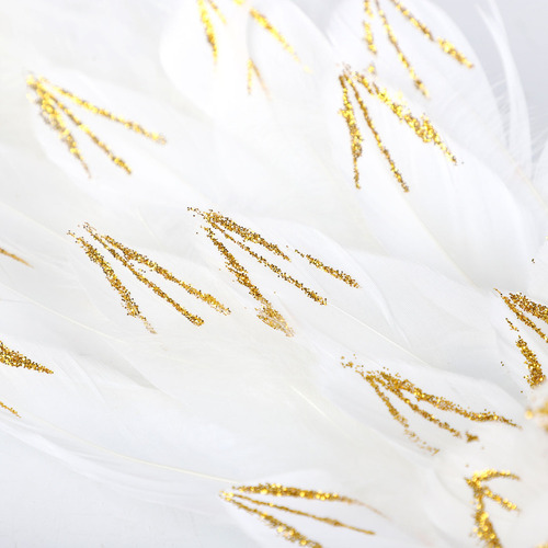 Colgantes Blancos Con Plumas De Pavo Real De Cola Larga