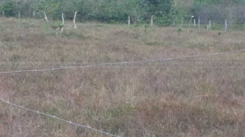 Imagem 2 de 6 de Terrenos A Venda Em Camaçari Bahia- Oportunidade
