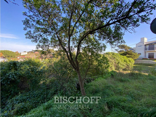 Venta De Lote En Ostende Calle Moreno