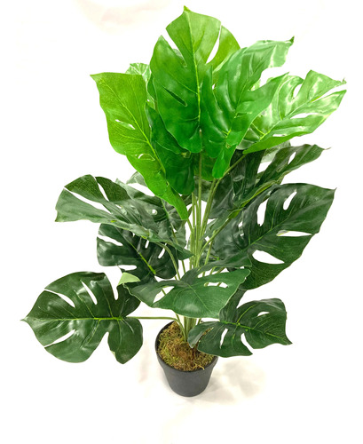 Planta Artificial 60cm Monstera