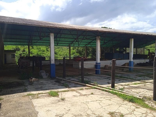 Imagen 2 de 14 de Venta Finca Estado Lara, Municipio Crespo