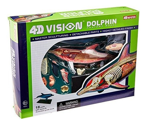 Famemaster 4d-vision Dolphin Anatomy Model
