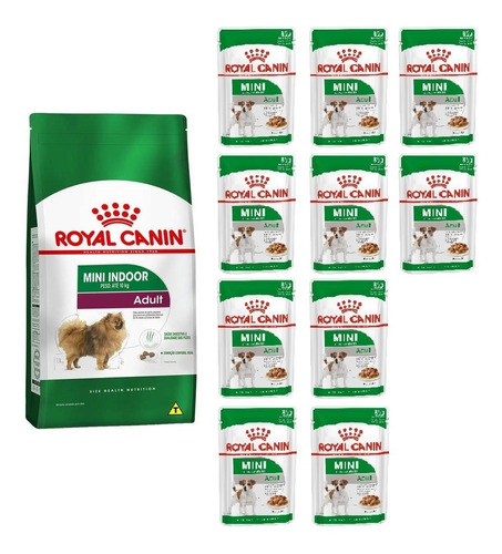 Kit Ração Mini Indoor Adult 1kg E 10 Sachês 85g Royal Canin