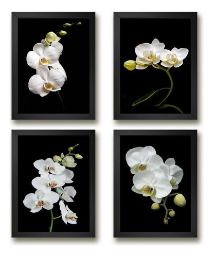 Quadros Florais Orquídeas 45x34cm - Com Vidro