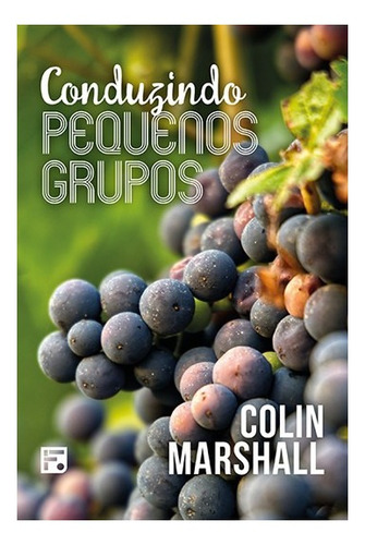 Livro Conduzindo Pequenos Grupos - Colin Marshall