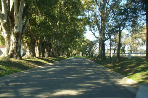 Lote Al Golf. Haras Santa María. Los Robles