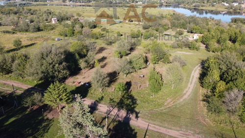 Imagen 2 de 12 de Terreno De 4310m2 Villa Ciudad De America