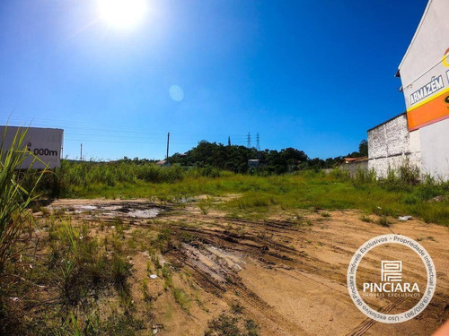 Imagem 3 de 6 de Área Comercial, 2400 M² Por R$ 12.000 De Aluguel Mensal - Rio Do Ouro - São Gonçalo/rj - Ar0006