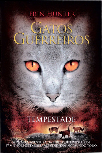 Gatos guerreiros - Tempestade, de Hunter, Erin. Série Série Gatos guerreiros (4), vol. 4. Editora Wmf Martins Fontes Ltda, capa mole em português, 2013