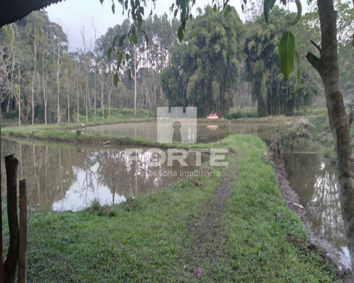 Imagem 6 de 30 de Linda Parte De Terra Com Lagos E Pinheiros Em Sabauna . Imobiliárias De Mogi Das Cruzes. São 47 Mil Metros Com 2 Lagos - Ar00001 - 69542625