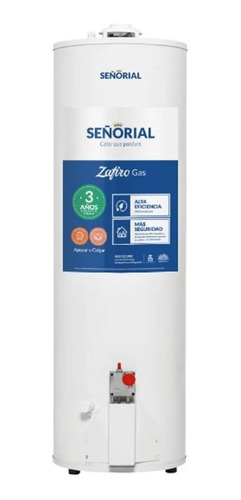 Termotanque Señorial Zafiro 160 Lts Gas Apoyar Center Hogar