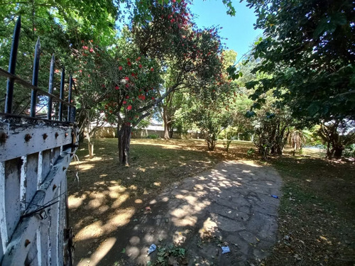 Imagen 6 de 14 de Lote Venta Tigre