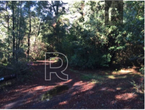 Imagen 14 de 15 de Inversionistas/ Terreno 8 Hectareas/ Camino Villarrica Pucon