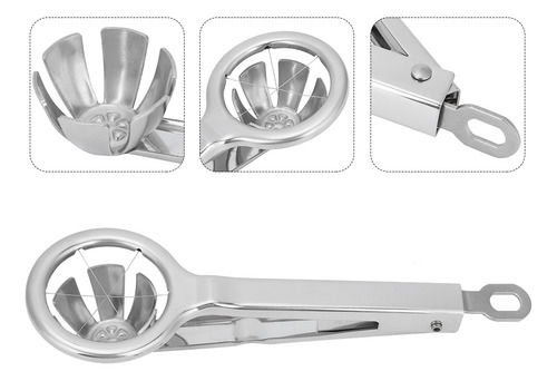 Pinzas De Corte Para Cortar Huevos De Acero Inoxidable 304 C