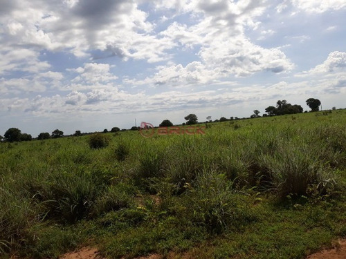 Imagem 4 de 19 de Fazenda Com 2.723 Mil Hectares No Vale Do Araguaia, Região Alvorada/araguaçu,to - Fa00021 - 69448081