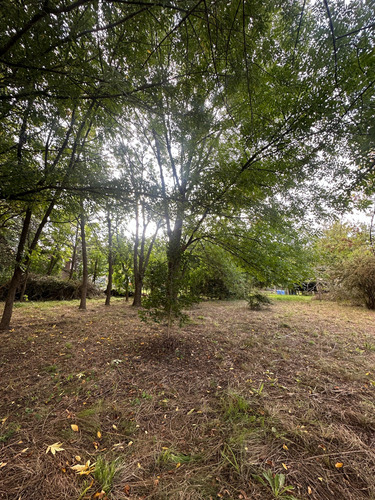 Terreno - Villa Parque Sicardi