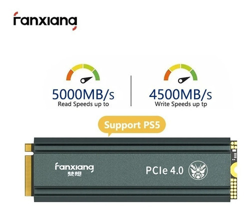 Ssd Fanxiang 1 Tb Pcie 4.0 Nvme M2 5000mb/s C/dissipador - Ps5 / Pc / Notebook Pronta Cor Cinza-escuro