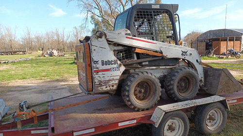 Bobcat