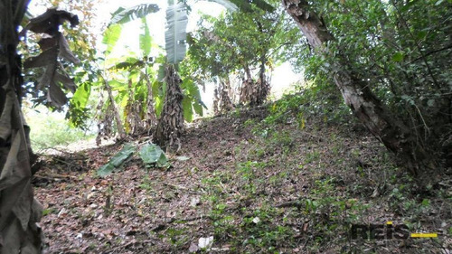 Imagem 13 de 30 de Sítio À Venda, 10000 M² Por R$ 250.000,00 - Piedade - Piedade/sp - Si0017