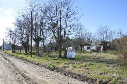 Imagen 3 de 5 de En Venta - Excelente Lote Ubicada En Calle 103 Entre 52 Y 54 - General Belgrano