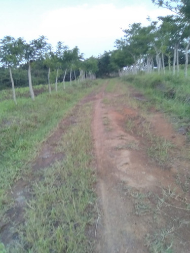 Finca En Venta Monte Plata60