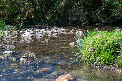 Imagen 3 de 13 de Chacra Campo En Venta En Aguas Blancas, Lavalleja, Mataojo (ref: Atm-6840)