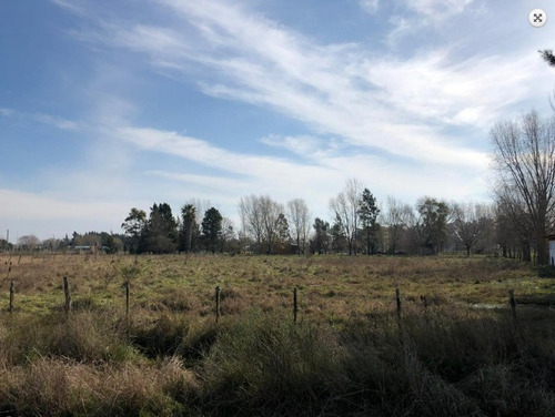 Venta Media Hectarea - Lote 5000m2 - San Vicente - Zona Rural - Chacras De Vinelli