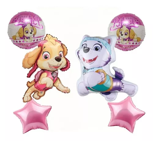 Paw Patrol Abc en Rosa con Skye y Everest.  Patrulla canina everest,  Fiesta de la patrulla canina, Fiesta infantil paw patrol