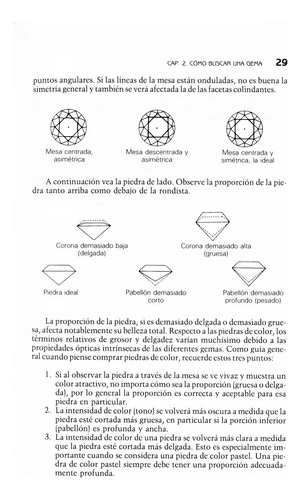 Joyería Y Gemas Guía Para El Joyero Y El Comprador Trillas