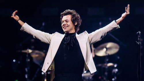 Frazada Cobija Polar Delgada Viajera Harry Styles
