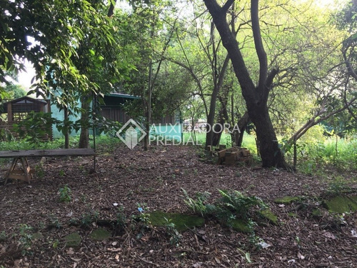 Imagem 6 de 15 de Terreno - Barnabe - Ref: 267395 - V-267395
