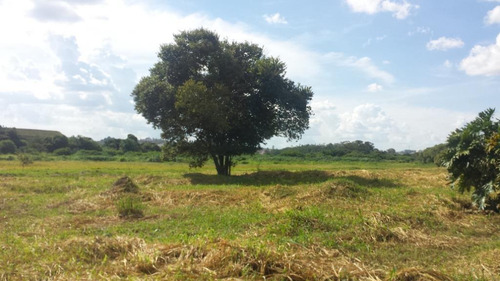 Terreno Totalmente Plano C/ 135.912,49 M² Em Area Industrial, Oportunidade!!! - Te0017