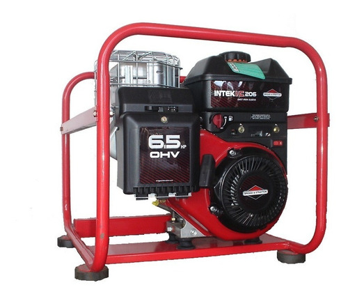 Grupo Electrógeno Profesional 3kva Monofasico 3000va 220v