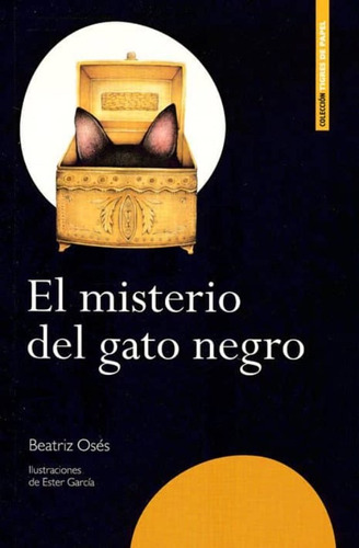 Libro El Misterio Del Gato Negro