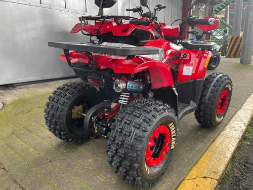 Imagen 4 de 5 de Cuatrimoto 125cc
