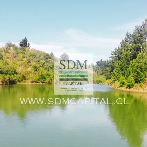 Venta Terreno - Sitio 5000mts Cobquecura Ñuble