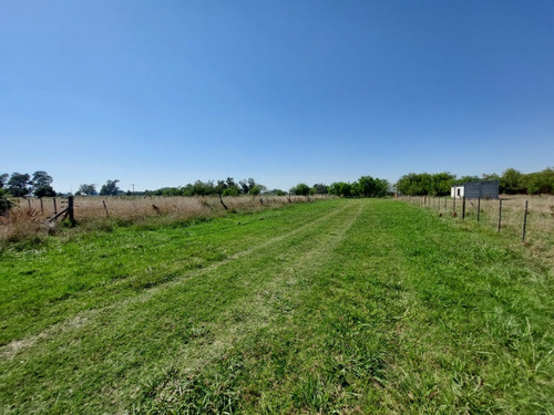 Vendo  Lote Grande En Un Pueblito Rural, Saladillo 