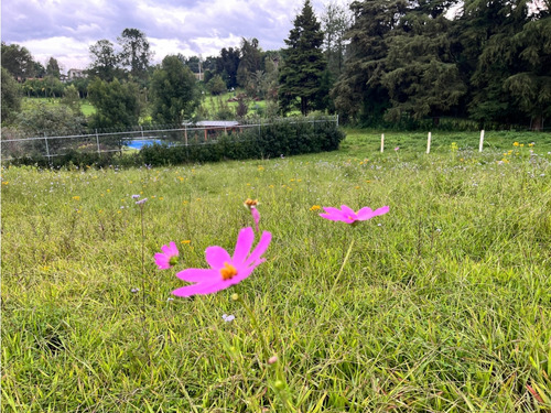 Terreno En Venta En Acatitlán | Valle De Bravo