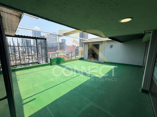 Oficina En Renta En Anzures - 8c/3b/1e - Terraza - 264m2