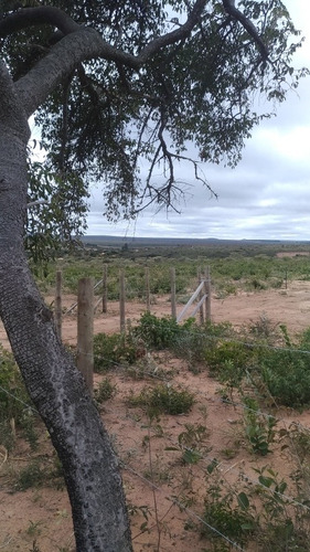 Imagem 13 de 14 de Terreno 2ha Com Casa P/ Chácara Mucugê Chapada Diamantina Ba
