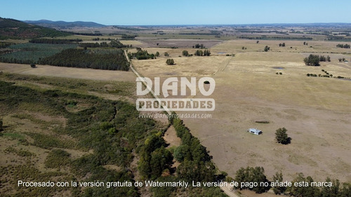 Imagen 12 de 20 de Chacra Aguas Blancas - Sierras Oportunidad