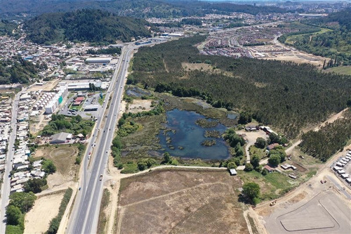Imagen 8 de 22 de Sitio En Venta En Concepción
