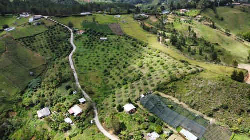 Linda Finca Aguacatera En Venta Marinilla