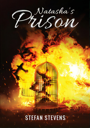 Natasha's Prison: Healing From Your Prison I Never Knew I Was In, De Stevens, Stefan. Editorial Bookbaby, Tapa Blanda En Inglés