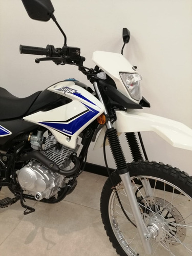 Imagen 17 de 22 de Motomel Skua 150
