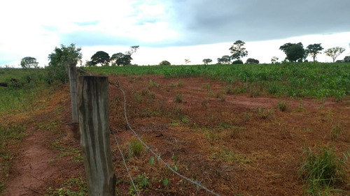 Chácara, Sitío De 3 Alqueires Na Cidade De Nova Castilho Sp, Regiao De São Jose Do Rio Preto E Araçatuba Sp
